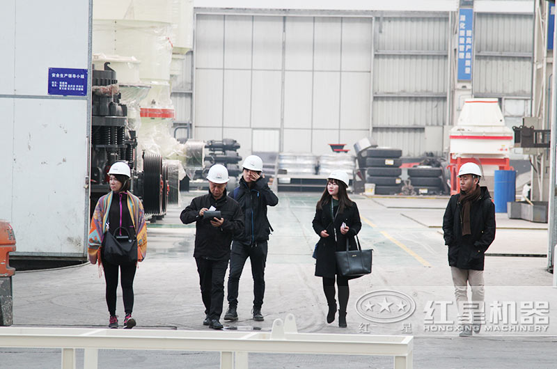 客戶到紅星廠區(qū)進(jìn)行參觀，并咨詢